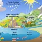 Clues of climate change