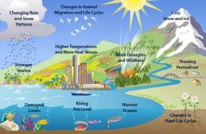 Clues of climate change